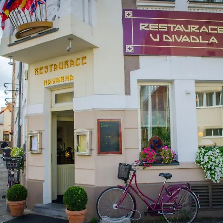 U Divadla - Czech Leading 4* Prag